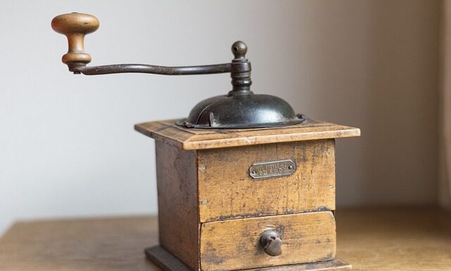 Co zrobić z psem który wszystko niszczy?