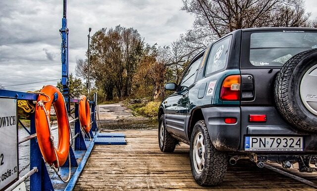 Jak przewozić dwa koty? Jak przewozić dwa koty?