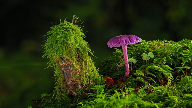 Czym utrwalić farbę akrylowa? Czym utrwalić farbę akrylowa?