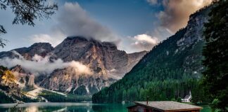 Co może właściciel domu?