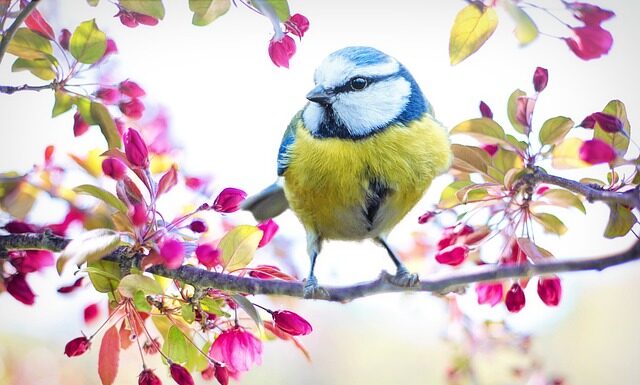 Czy żółty ser jest tłusty?