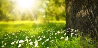 Jak założyć Tło strukturalne do akwarium?