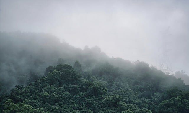 Jak zrobić gęstą czekoladę na gorąco?