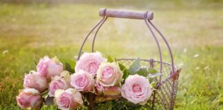 Kto odpowiada za Kosze uliczne?