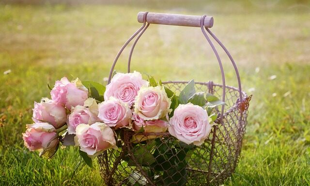 Kto odpowiada za Kosze uliczne? Kto odpowiada za Kosze uliczne?