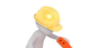 Czym zabezpieczyć ścianę w terrarium?