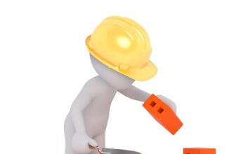 Czym zabezpieczyć ścianę w terrarium?