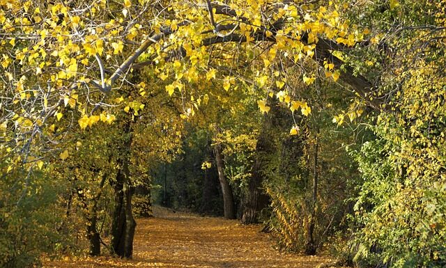 Dlaczego świecą się zapada? Dlaczego świecą się zapada?