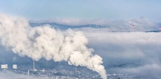 Ile to jest 1 Mg odpadów?