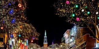 Ile trwa okres u suki?