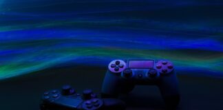 Jak pracować z psem lękliwym?