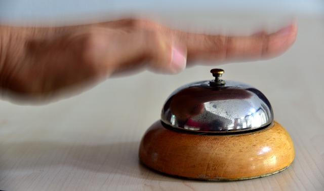 Jak powinno się podnosić psa?