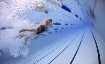 Do kogo należy pas zieleni?