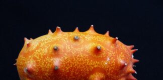 Czy ogórek jest warzywem?