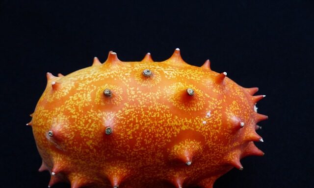 Czy ogórek jest warzywem?