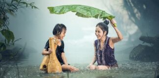 Czy psu przeszkadza deszcz?