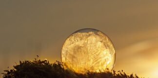 Czy można jeść Zamrożoną czekoladę?