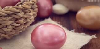 Jak wygląda odprawa psa na lotnisku?