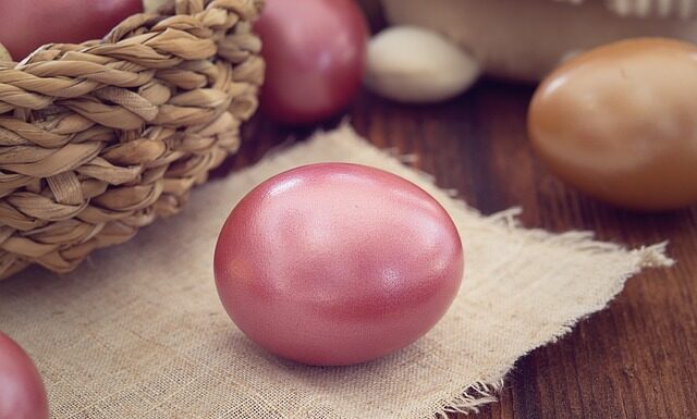 Jak wygląda odprawa psa na lotnisku?