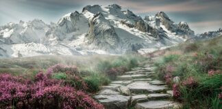 Jaką klatka Kennelowa?