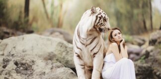 Czy ser Królewski jest zdrowy?