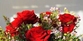 Jak nazywa się najdroższy grzyb świata?