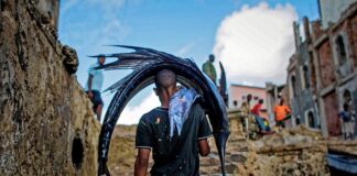 W jakim wieku pies może chodzić po schodach?