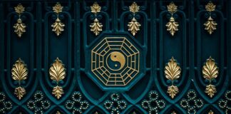 Jakiej karmy dla kota nie kupować?