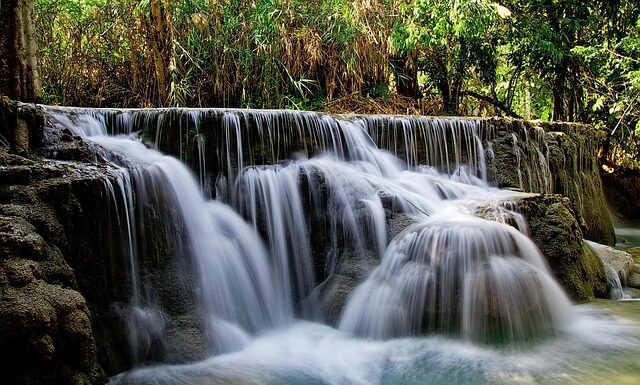 Jak nauczyć psa żeby nie sikał w domu?