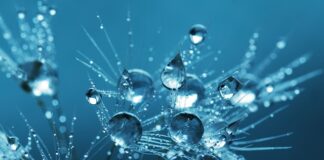 Kto odpowiada za czystość w mieście?