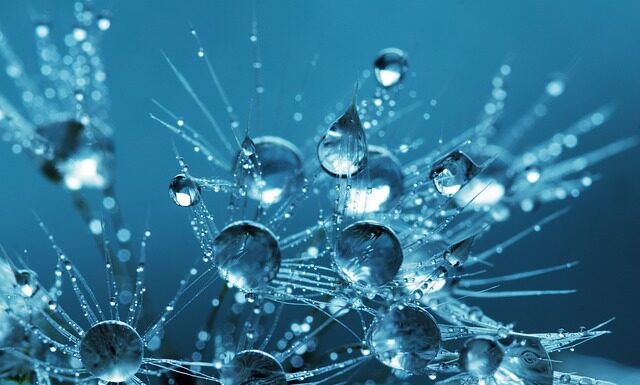 Kto odpowiada za czystość w mieście?