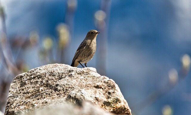Czy pleśń na żółtym serze jest szkodliwa?