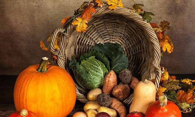 Czy dynia to warzywo? Czy dynia to warzywo?