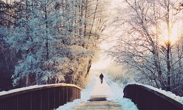 Kiedy są dni płodne u suki?