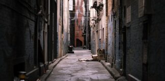 Czy śmieci są sprawdzane?