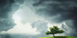 Jak uzyskać zielony tynk do tortu?