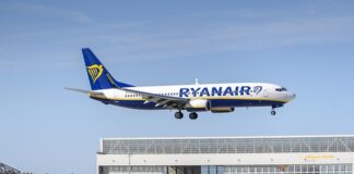 Czy Ryanair przewozi zwierzęta?