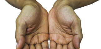 Jak często powinny być odbierane odpady?