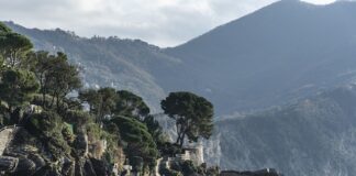 Ile kosztuje wpis do rejestru BDO?