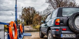 Czy można przewozić dwa koty w jednym transporterze?